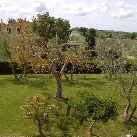 Il Punto Verde SantʼAntonio Exterior foto